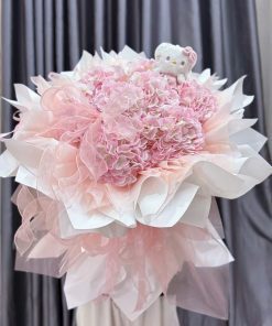 tú cầu công chúa + kitty