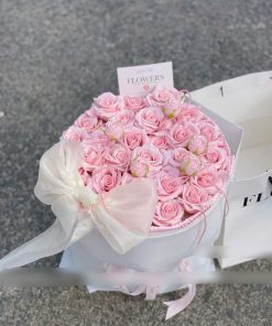 hồng +tỉ muội đẹp 2026