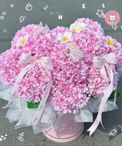 Hộp tú cầu cao cấp 10 bông