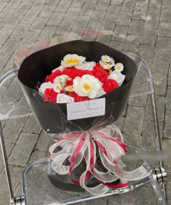 tròn mix tiểu thư đủ màu