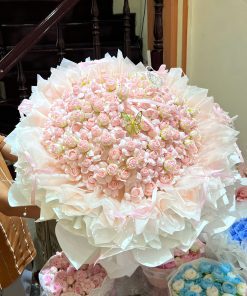 Công chúa tỉ muội cao cấp 2026