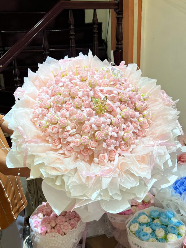 Công chúa tỉ muội cao cấp 2026